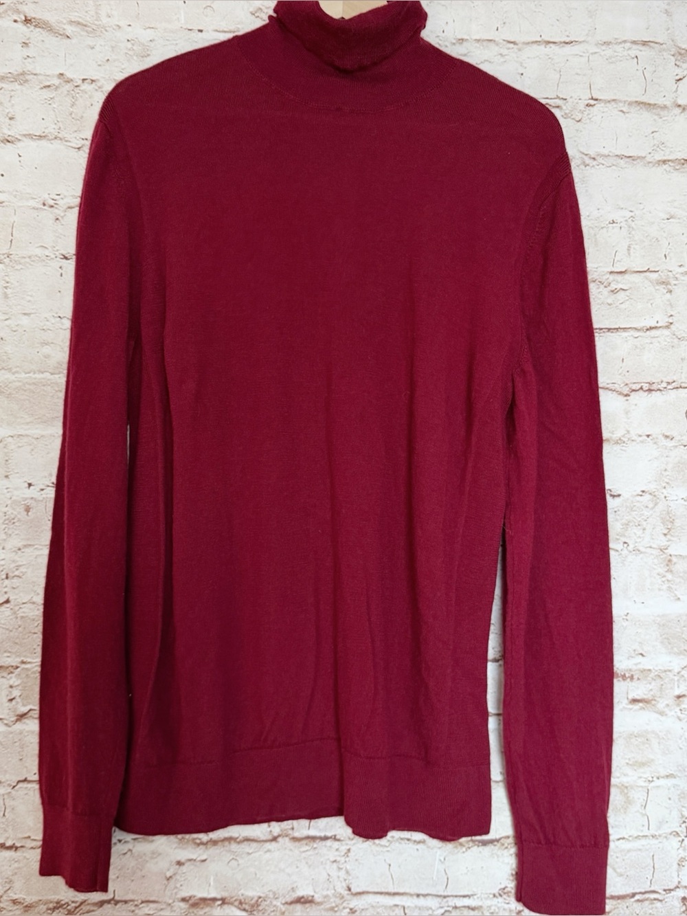 Express Merino wool turtleneck sweater